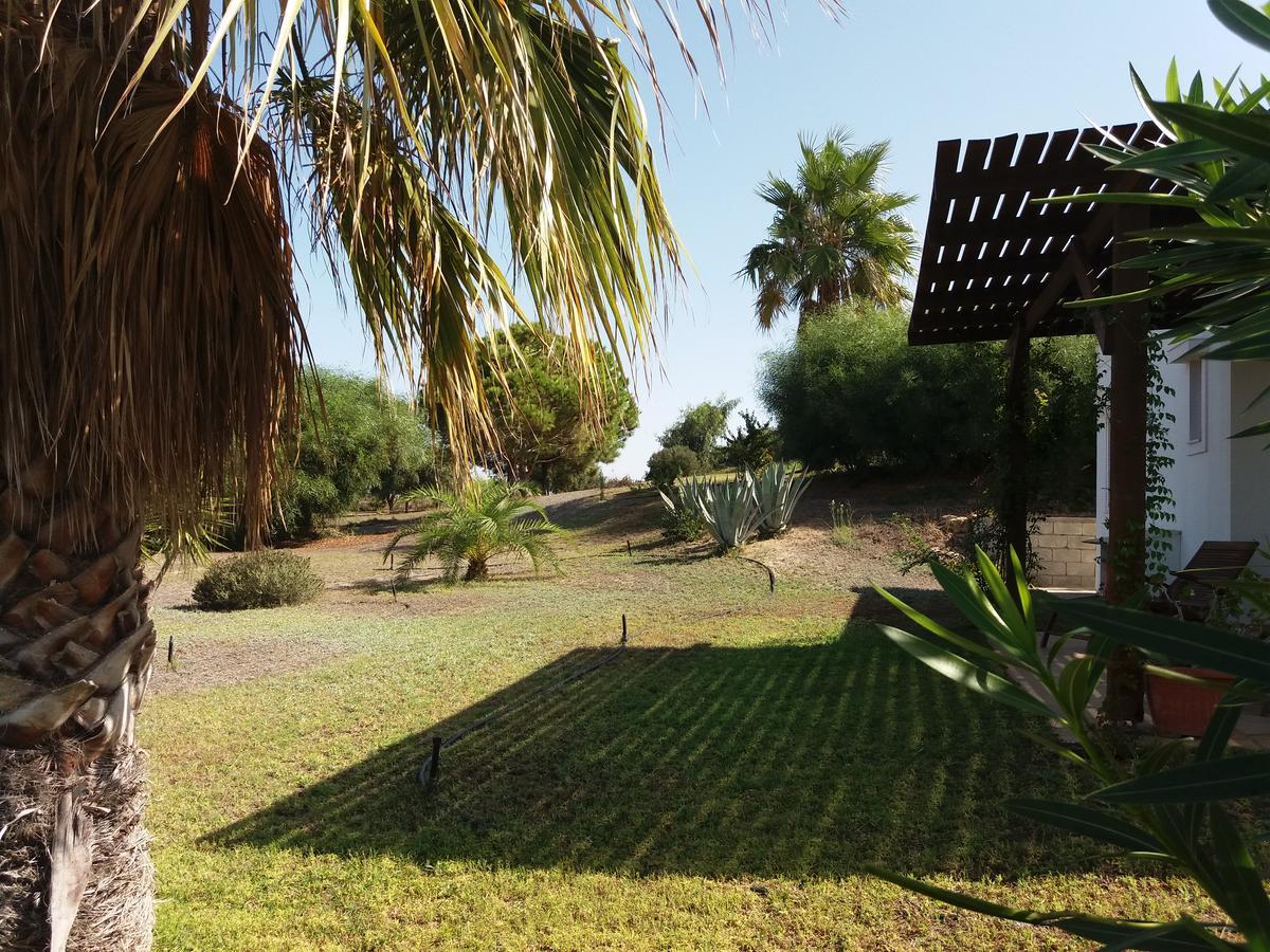 Villa Kos มัสติคารี ภายนอก รูปภาพ