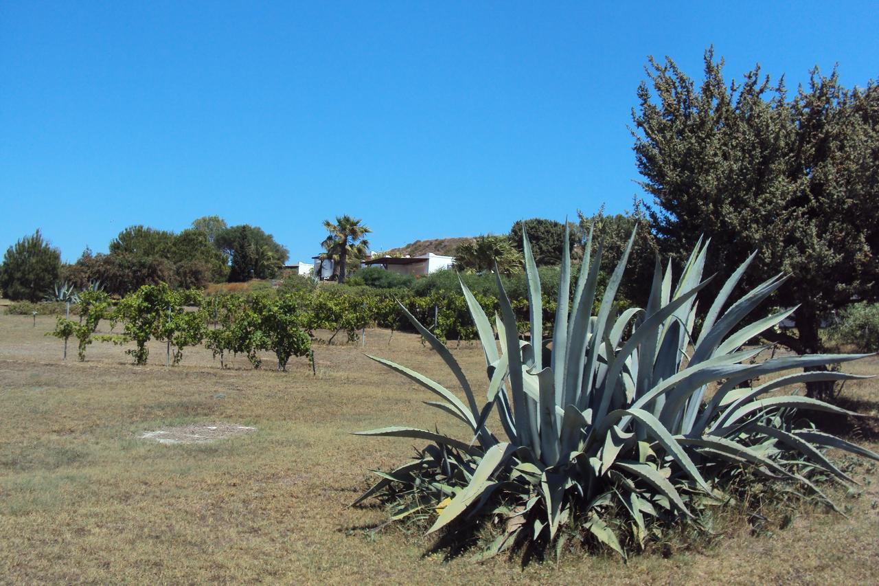 Villa Kos มัสติคารี ภายนอก รูปภาพ
