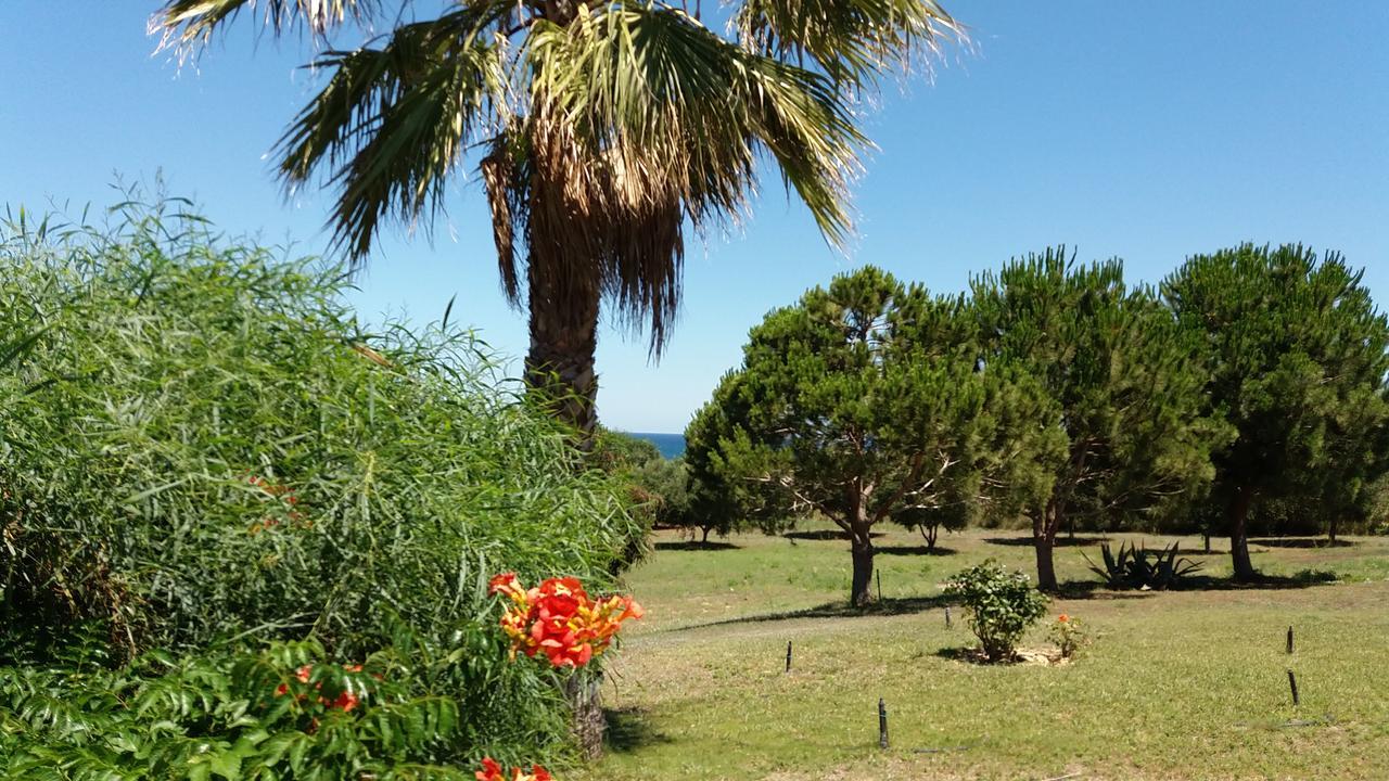 Villa Kos มัสติคารี ภายนอก รูปภาพ