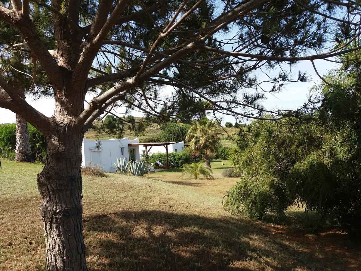 Villa Kos มัสติคารี ภายนอก รูปภาพ