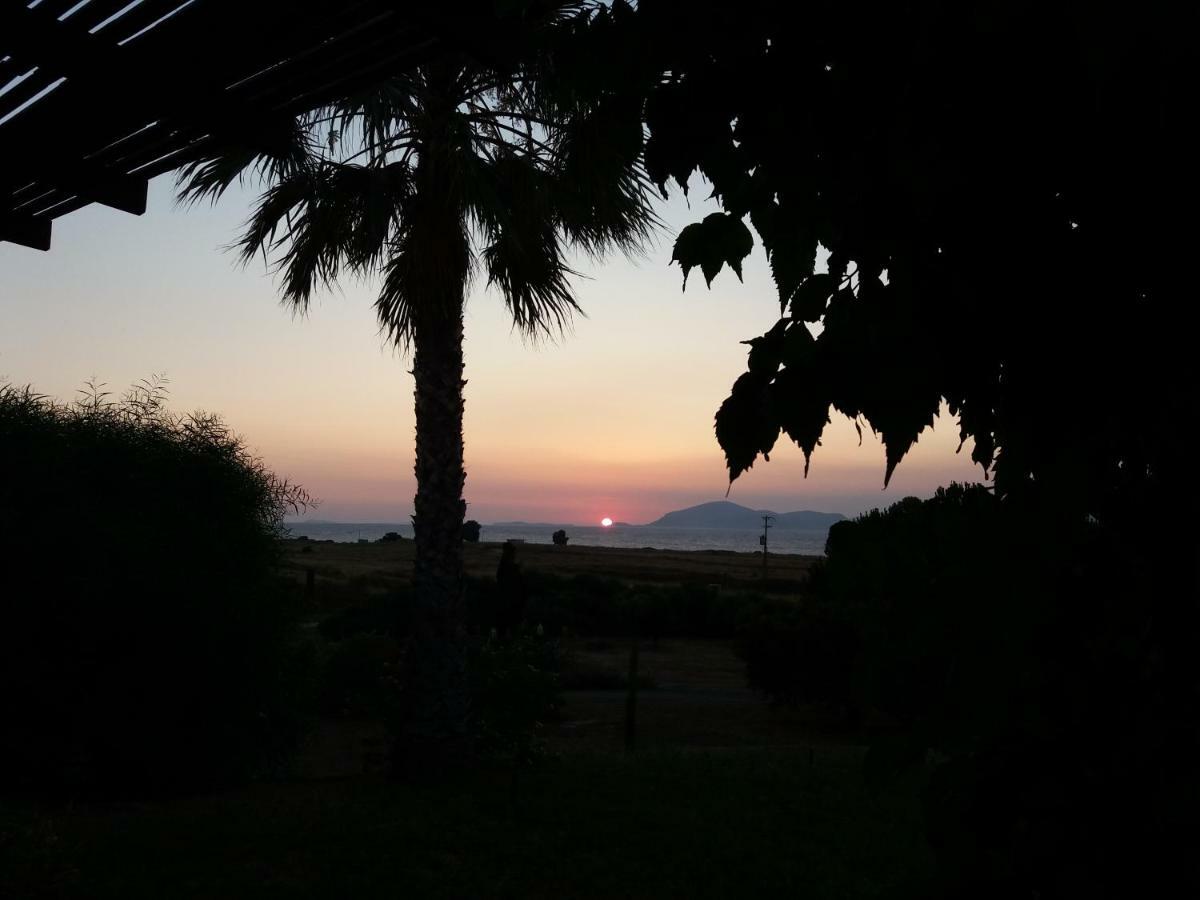 Villa Kos มัสติคารี ภายนอก รูปภาพ